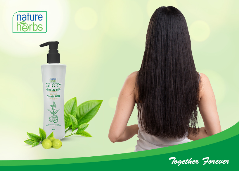 Glory GT Shampoo(300ml)